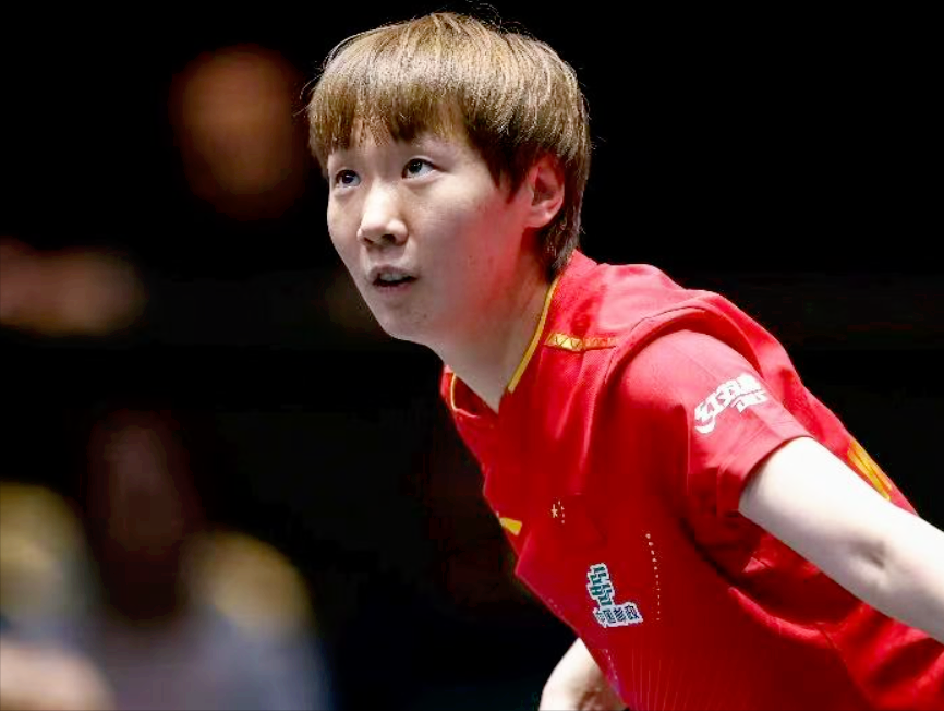 zDbB, 详细安排请