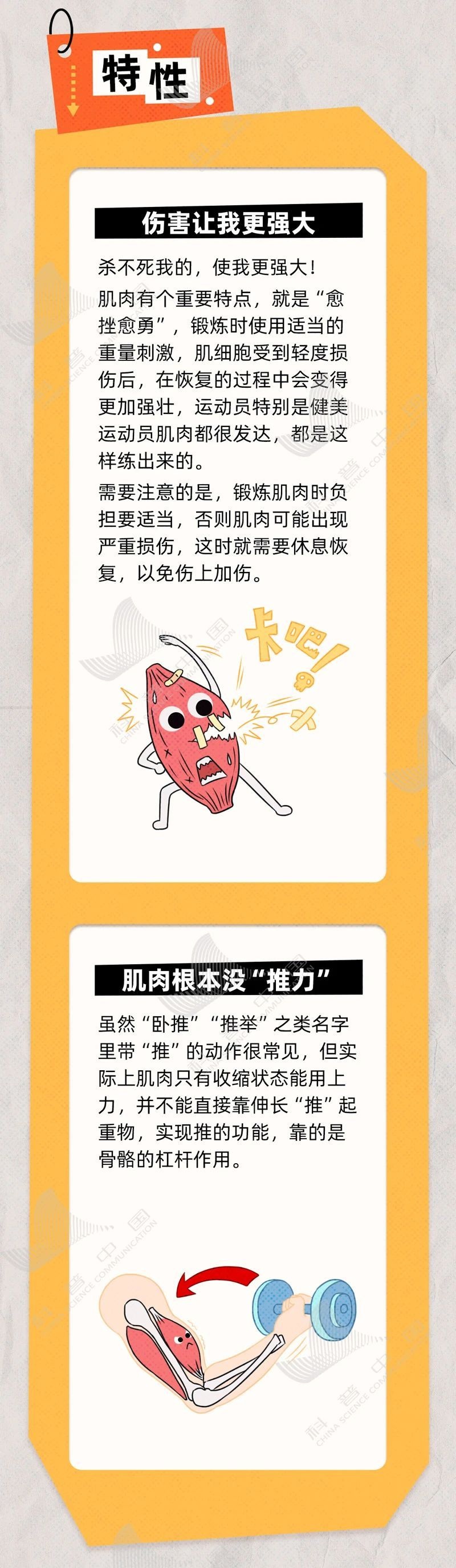 media, 校园和小区